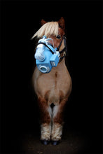 Flexineb E2: Portable Foal/Pony Nebulizer
