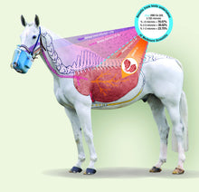 Flexineb E2: Portable Foal/Pony Nebulizer