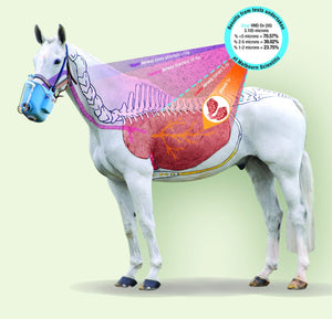 Flexineb E2: Portable Horse Nebulizer - Standard/TB size